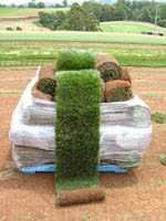 Astroturf Warehouse Club: We lie in bulk and pass the BS on to you!