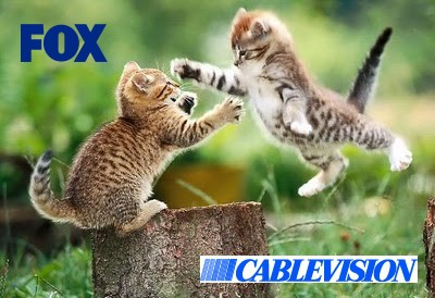   York on Fox Cablevision Cat Fight Claws New York  Battle Briefly Extends Into