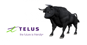 telus bull