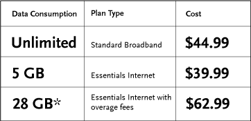 Less is More: With the FCC claiming the average Internet user consumes 28GB of broadband per month, this may explain why Time Warner Cable customers have little interest in the company's 5GB Internet Essentials offer. (Chart: New America Foundation)