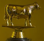 The Plain English Campaign's Golden Bull Award is given to companies that prefer gobbledygook over plain English.