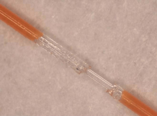Ant Damage to an optical fiber cable (Image: Draka)