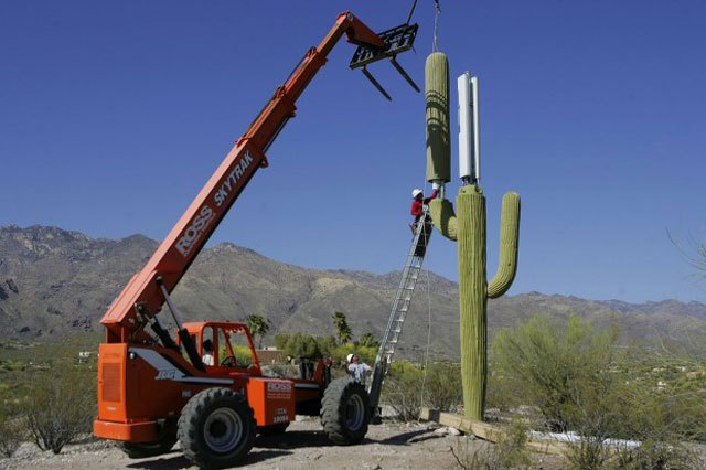 Cactus or cell tower